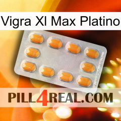 Vigra Xl Max Platinum cialis3